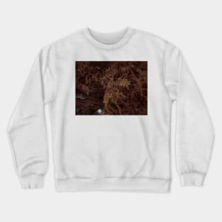 Ferns In Winter Crewneck Sweatshirt